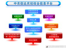 農村經濟管理軟件系列產品展示 北京中農信達信息技術引領智慧鄉(xiāng)村新篇章